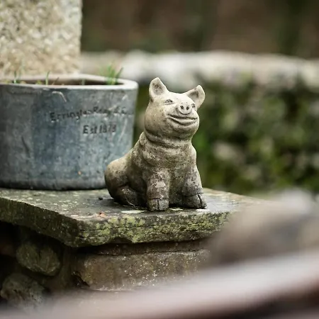 Foot Stable Grayrigg