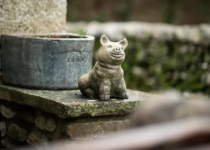 Foot Stable Grayrigg